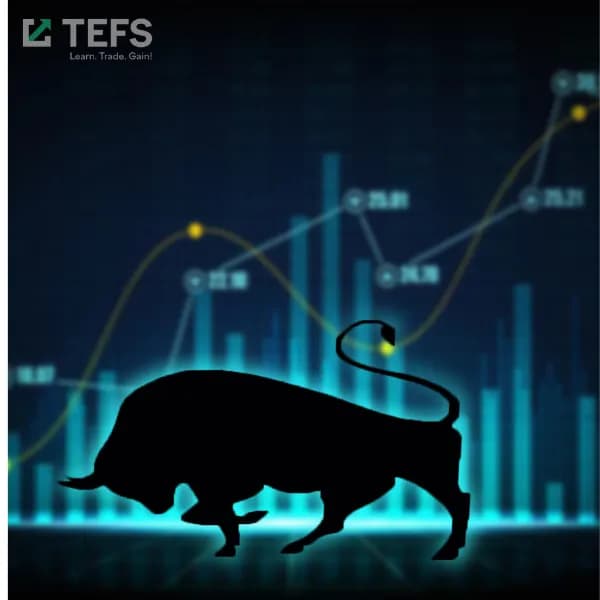 Market bulls remain strong  21/10/2024