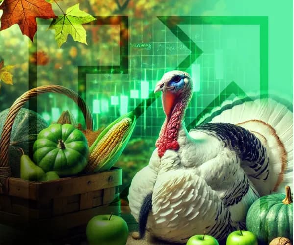 Minor market pullback ahead of Thanksgiving 28/11/2024