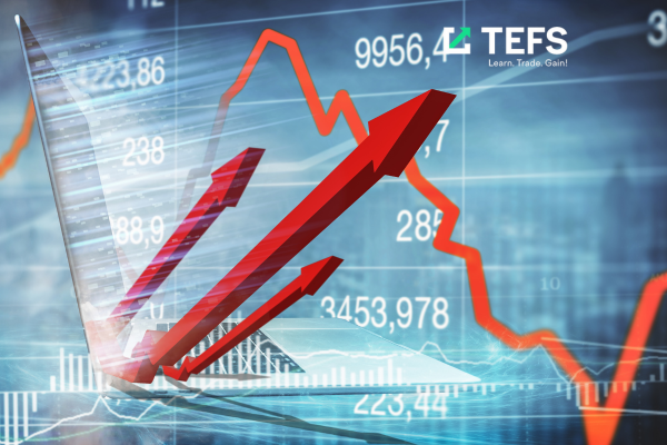 Rising Treasury yields put pressure on stocks   24/10/2024