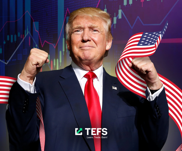 Trump propels markets to new record highs 07/11/2024